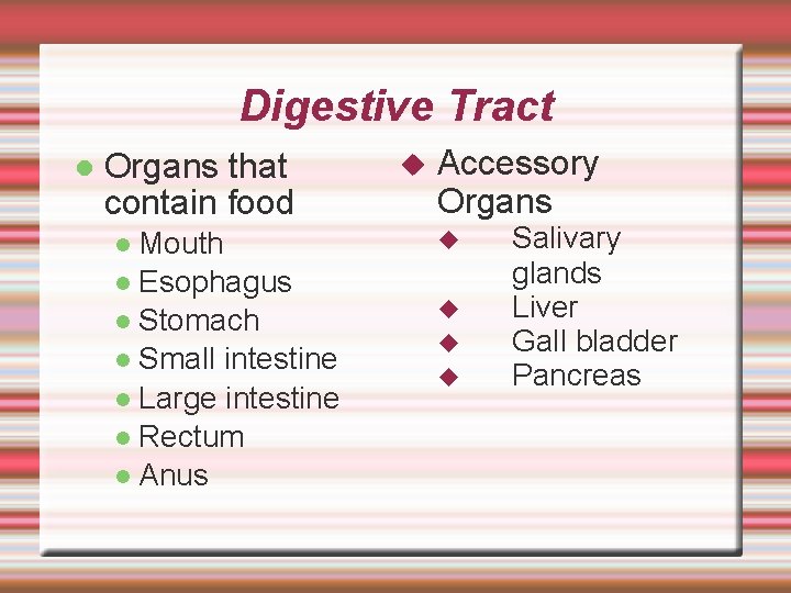 Digestive Tract Organs that contain food Mouth Esophagus Stomach Small intestine Large intestine Rectum