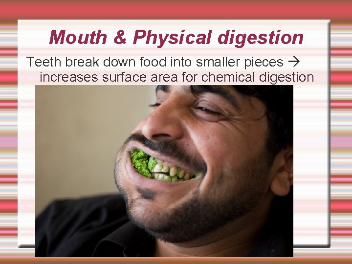 Mouth & Physical digestion Teeth break down food into smaller pieces increases surface area