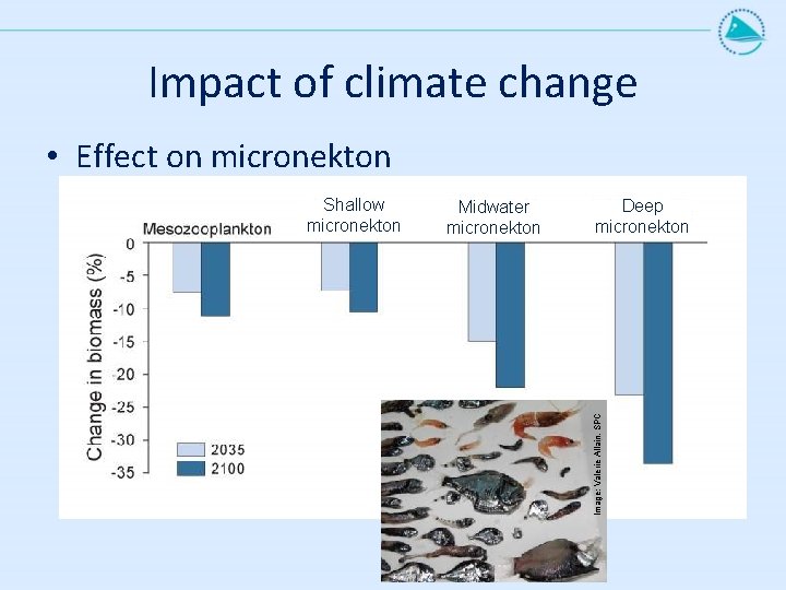 Impact of climate change • Effect on micronekton Midwater Dee micronekton Deep micronekton Image: