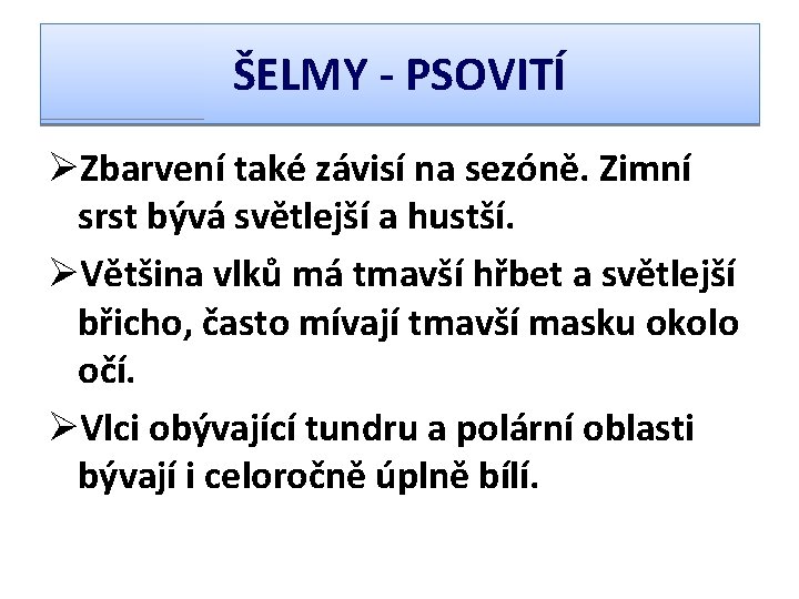 ŠELMY - PSOVITÍ ØZbarvení také závisí na sezóně. Zimní srst bývá světlejší a hustší.