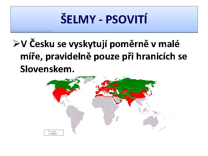 ŠELMY - PSOVITÍ ØV Česku se vyskytují poměrně v malé míře, pravidelně pouze při