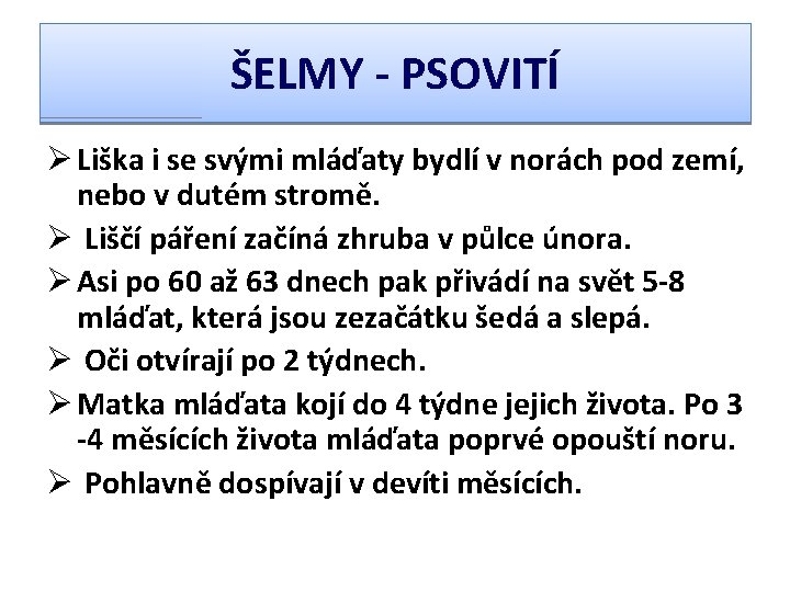 ŠELMY - PSOVITÍ Ø Liška i se svými mláďaty bydlí v norách pod zemí,