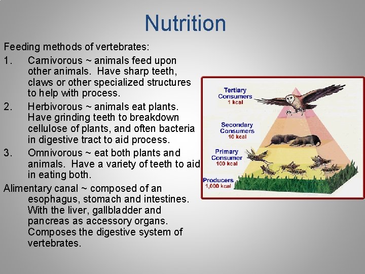 Nutrition Feeding methods of vertebrates: 1. Carnivorous ~ animals feed upon other animals. Have Nutrition Feeding methods of vertebrates: 1. Carnivorous ~ animals feed upon other animals. Have