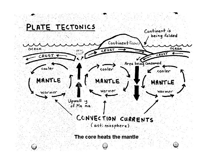 The core heats the mantle 