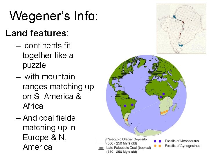 Wegener’s Info: Land features: – continents fit together like a puzzle – with mountain