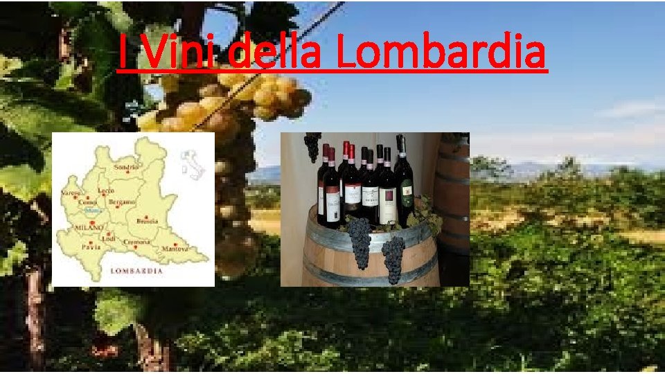 I Vini della Lombardia 