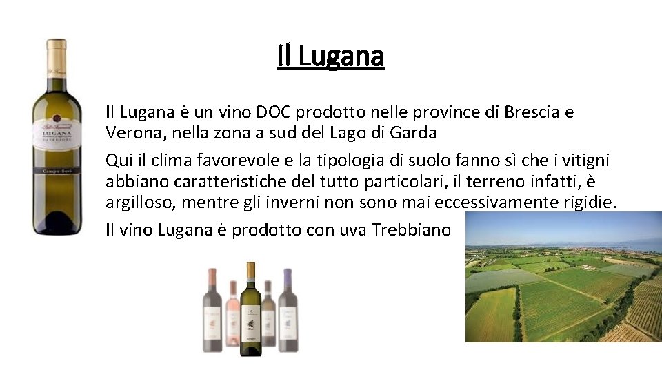 Il Lugana è un vino DOC prodotto nelle province di Brescia e Verona, nella