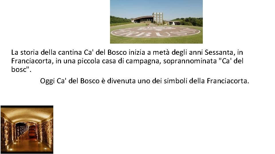 La storia della cantina Ca' del Bosco inizia a metà degli anni Sessanta, in