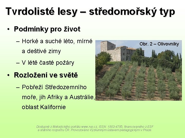 Tvrdolisté lesy – středomořský typ • Podmínky pro život – Horké a suché léto,