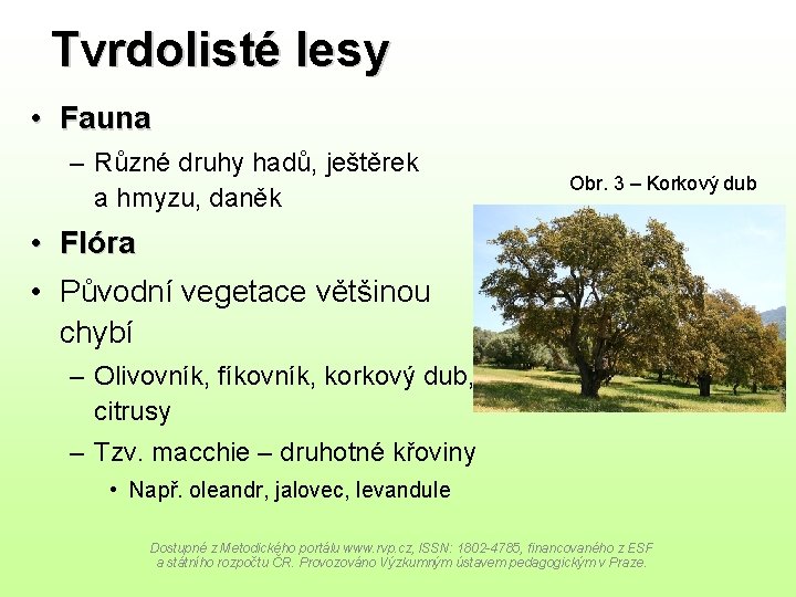 Tvrdolisté lesy • Fauna – Různé druhy hadů, ještěrek a hmyzu, daněk Obr. 3