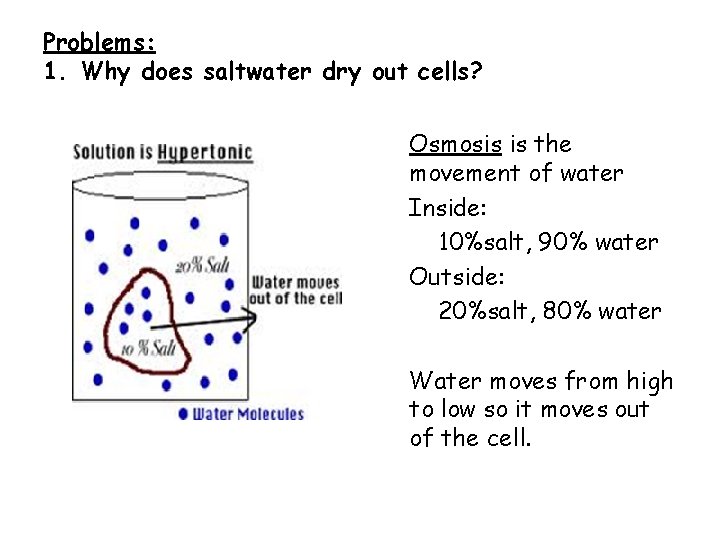 Problems: 1. Why does saltwater dry out cells? Osmosis is the movement of water