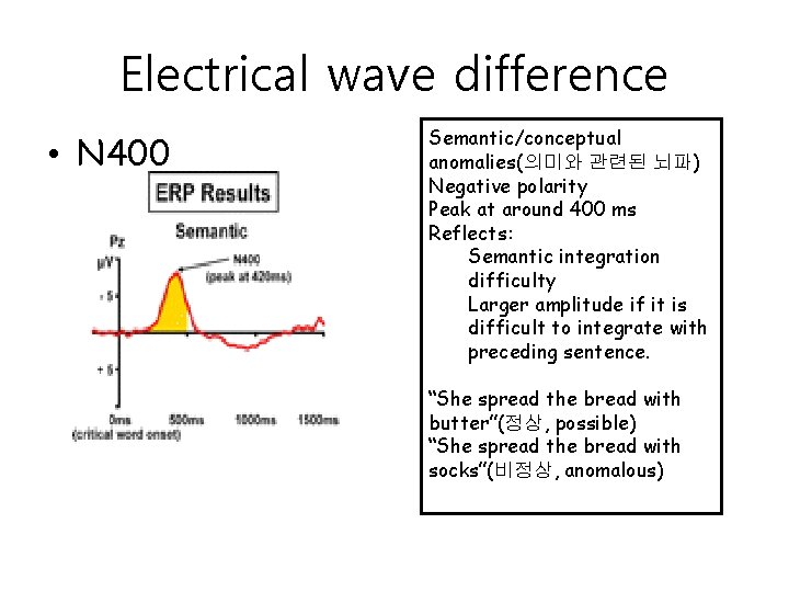 Electrical wave difference • N 400 Semantic/conceptual anomalies(의미와 관련된 뇌파) Negative polarity Peak at