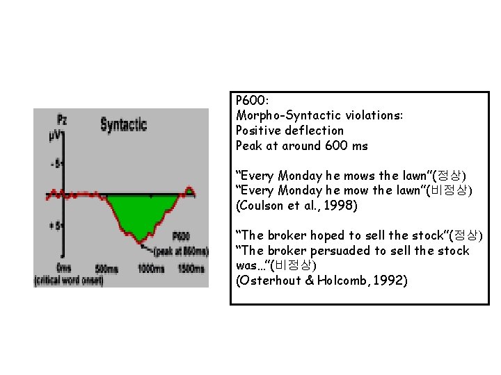 P 600: Morpho-Syntactic violations: Positive deflection Peak at around 600 ms “Every Monday he