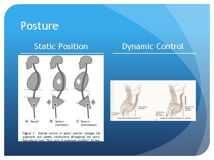 Posture Static Position Dynamic Control 