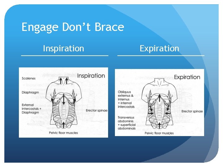 Engage Don’t Brace Inspiration Expiration 