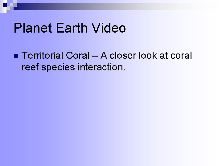 Planet Earth Video n Territorial Coral – A closer look at coral reef species