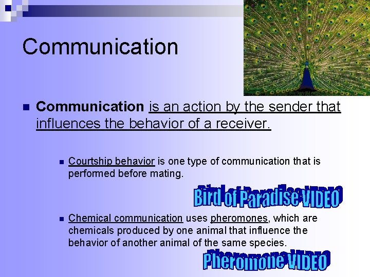 Communication n Communication is an action by the sender that influences the behavior of