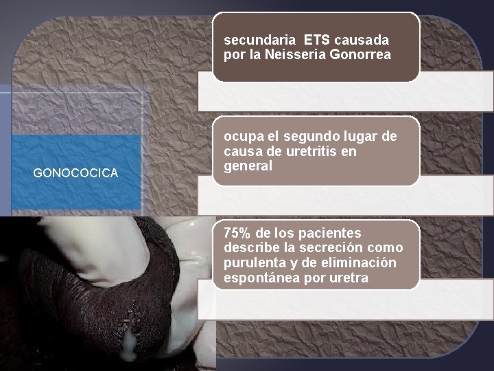 secundaria ETS causada por la Neisseria Gonorrea GONOCOCICA ocupa el segundo lugar de causa