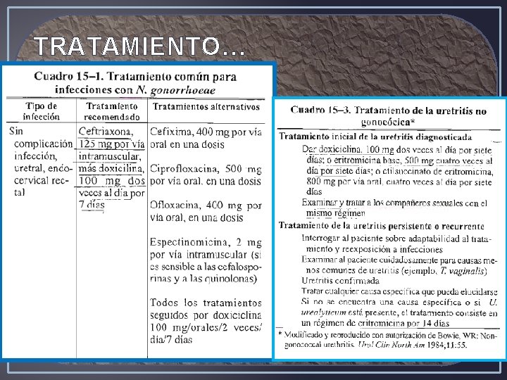 TRATAMIENTO… 
