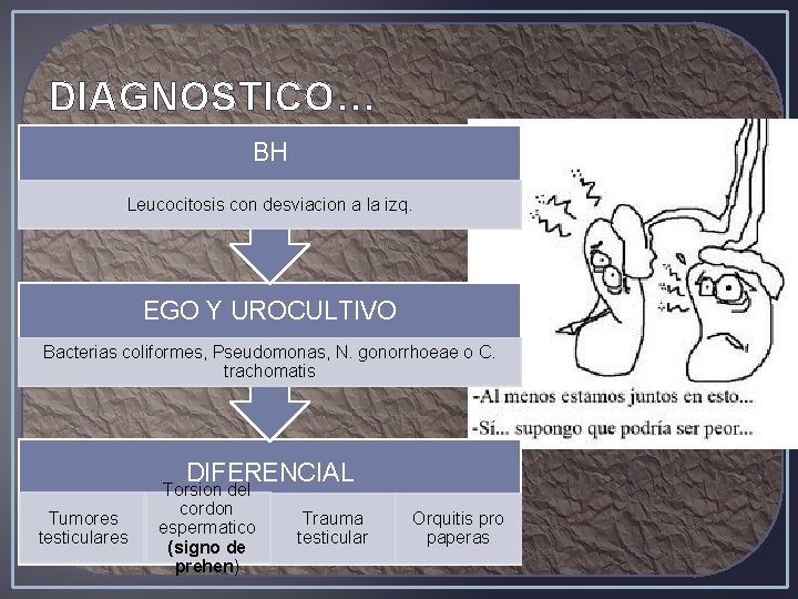 DIAGNOSTICO… BH Leucocitosis con desviacion a la izq. EGO Y UROCULTIVO Bacterias coliformes, Pseudomonas,
