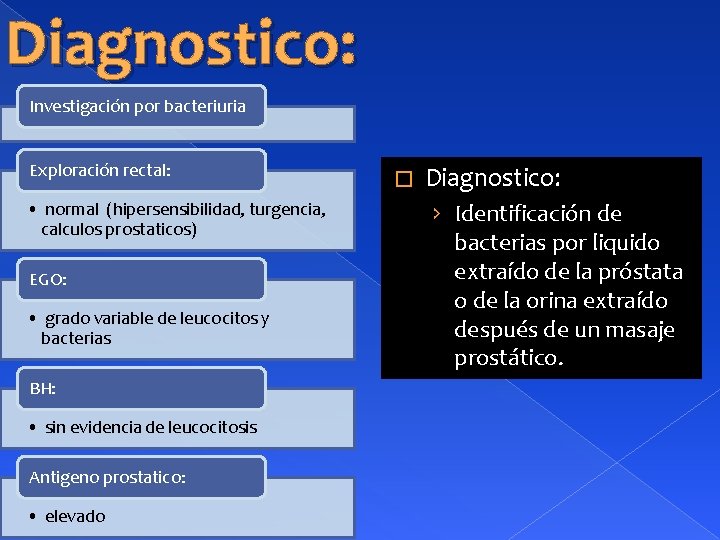 Diagnostico: Investigación por bacteriuria Exploración rectal: • normal (hipersensibilidad, turgencia, calculos prostaticos) EGO: •