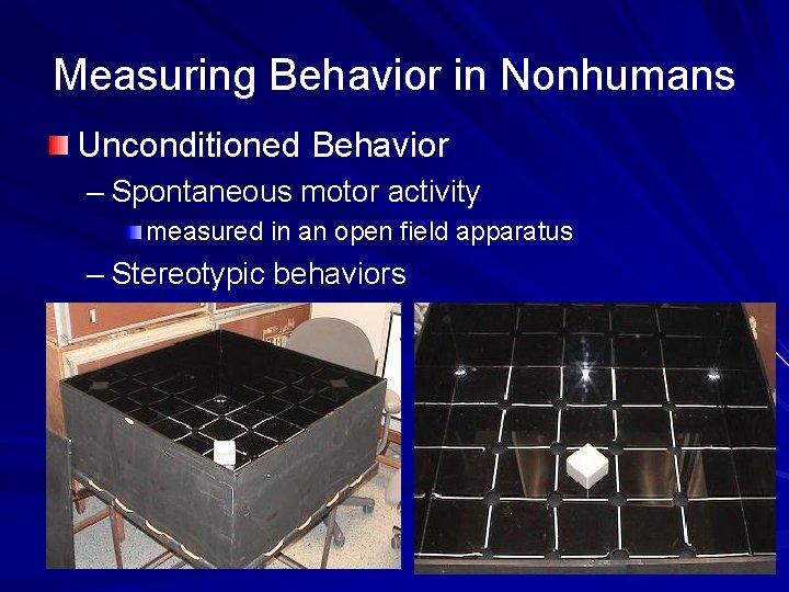 Measuring Behavior in Nonhumans Unconditioned Behavior – Spontaneous motor activity measured in an open