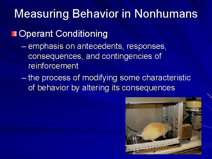 Measuring Behavior in Nonhumans Operant Conditioning – emphasis on antecedents, responses, consequences, and contingencies