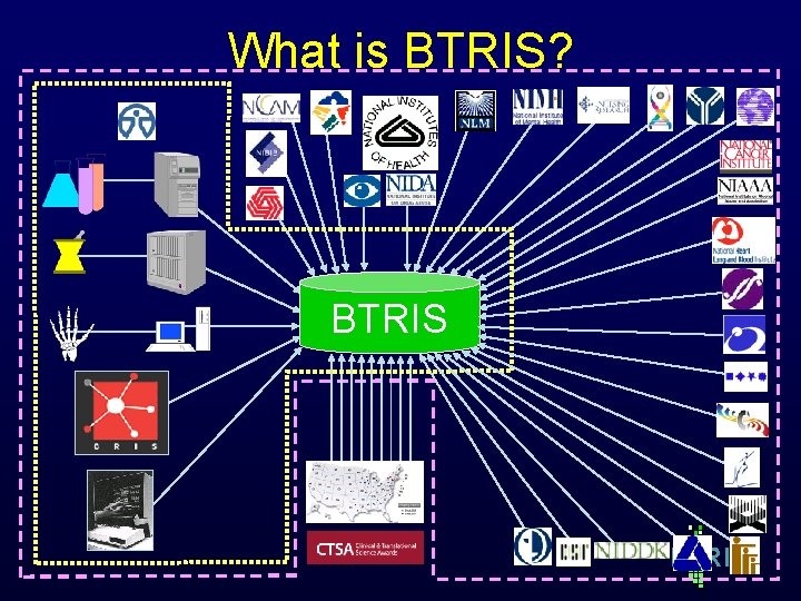 What is BTRIS? BTRIS B RIS What is BTRIS? BTRIS B RIS