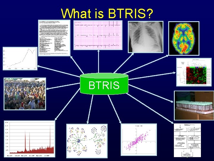 What is BTRIS? BTRIS B RIS What is BTRIS? BTRIS B RIS