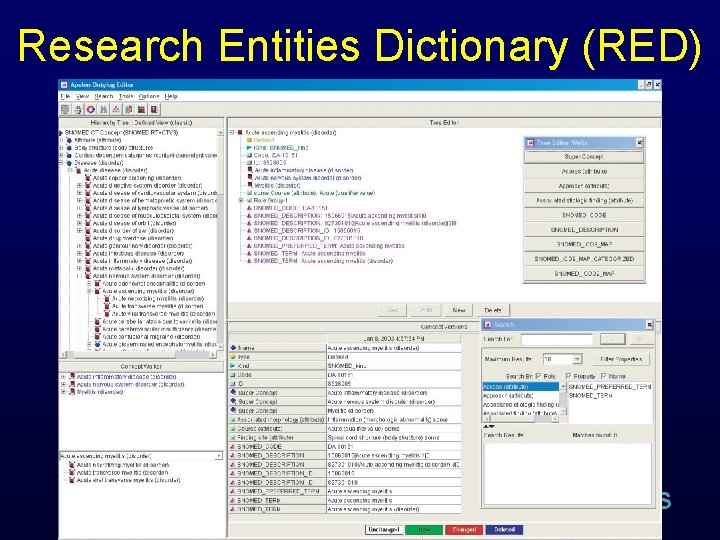 Research Entities Dictionary (RED) B RIS Research Entities Dictionary (RED) B RIS