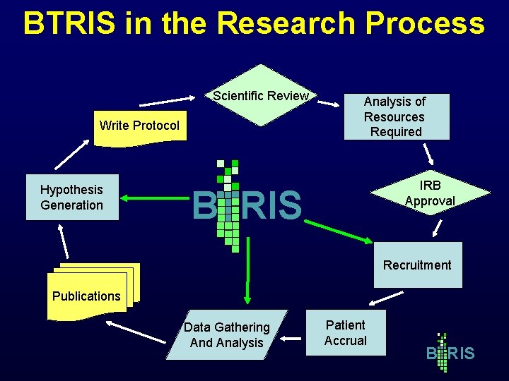 BTRIS in the Research Process Scientific Review Write Protocol Hypothesis Generation Analysis of Resources BTRIS in the Research Process Scientific Review Write Protocol Hypothesis Generation Analysis of Resources
