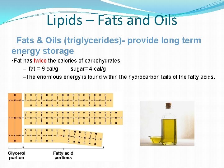 Lipids – Fats and Oils Fats & Oils (triglycerides)- provide long term energy storage