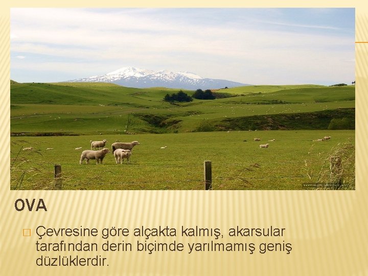 OVA � Çevresine göre alçakta kalmış, akarsular tarafından derin biçimde yarılmamış geniş düzlüklerdir. 