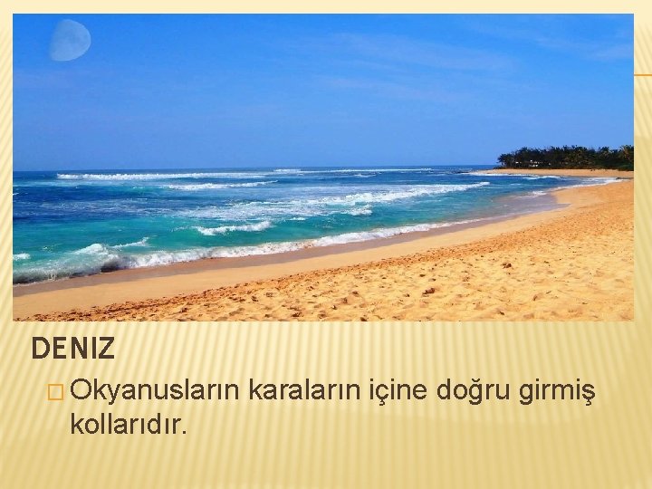 DENIZ � Okyanusların kollarıdır. karaların içine doğru girmiş 