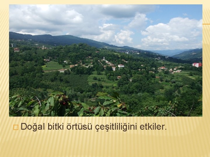 � Doğal bitki örtüsü çeşitliliğini etkiler. 