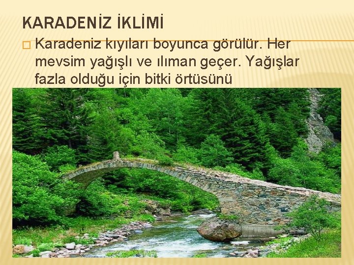 KARADENİZ İKLİMİ � Karadeniz kıyıları boyunca görülür. Her mevsim yağışlı ve ılıman geçer. Yağışlar