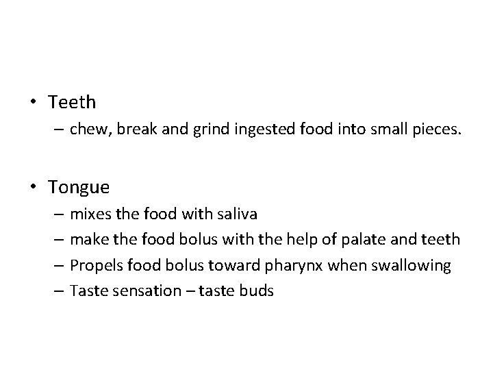  • Teeth – chew, break and grind ingested food into small pieces. •