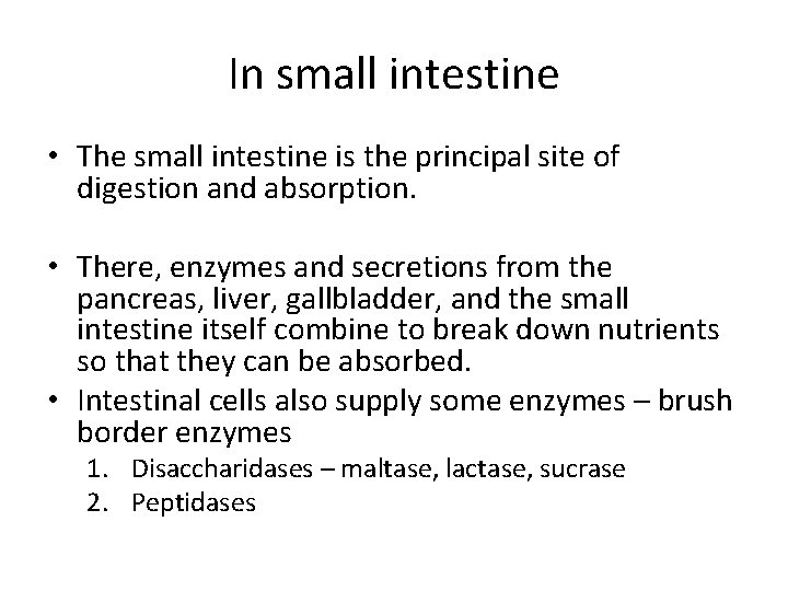 In small intestine • The small intestine is the principal site of digestion and