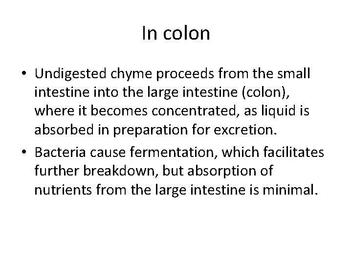 In colon • Undigested chyme proceeds from the small intestine into the large intestine