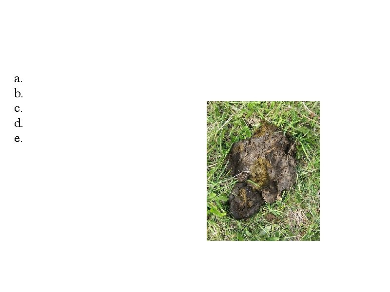 Advantages of the New Field System a. only 1/3 farmland was fallow b. big