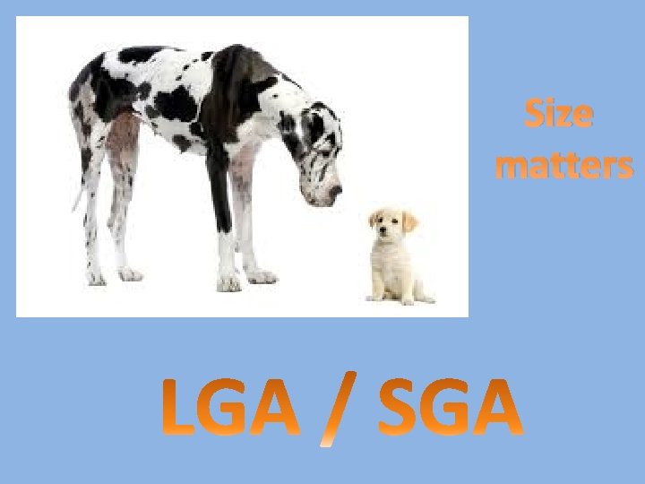 Size matters 