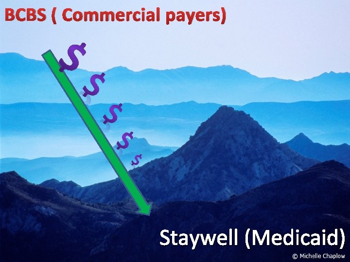 BCBS ( Commercial payers) Staywell (Medicaid) 