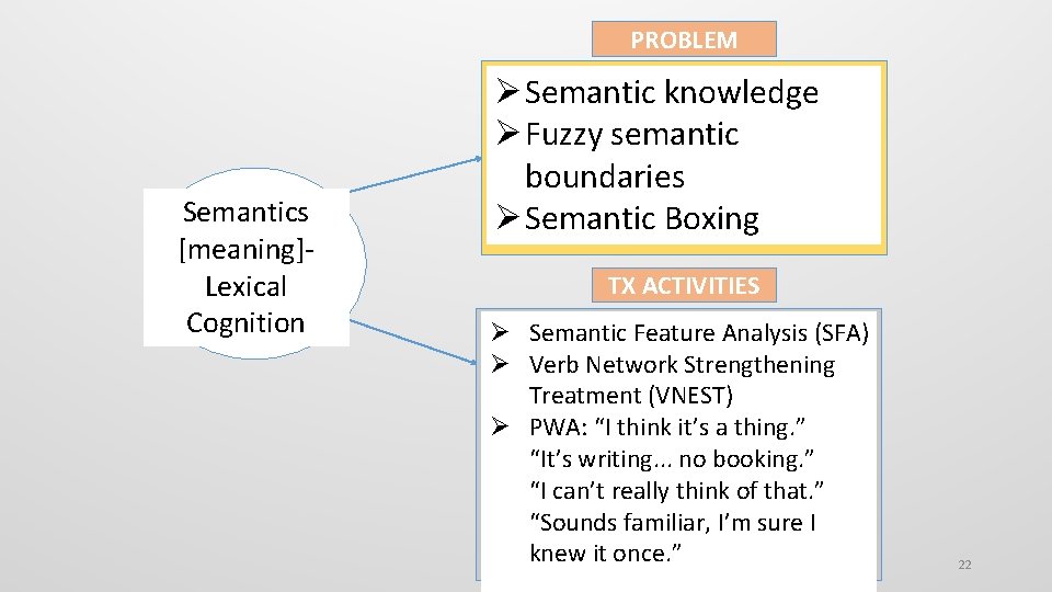 PROBLEM Semantics [meaning]Lexical Cognition Semantic knowledge Fuzzy semantic boundaries Semantic Boxing TX ACTIVITIES Semantic