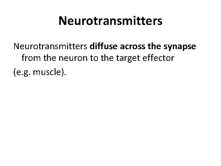 Neurotransmitters diffuse across the synapse from the neuron to the target effector (e. g.