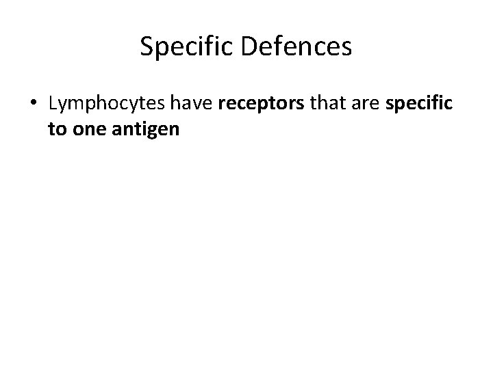 Specific Defences • Lymphocytes have receptors that are specific to one antigen 