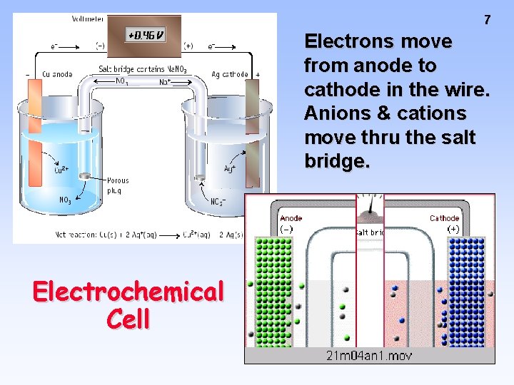 7 Electrons move from anode to cathode in the wire. Anions & cations move
