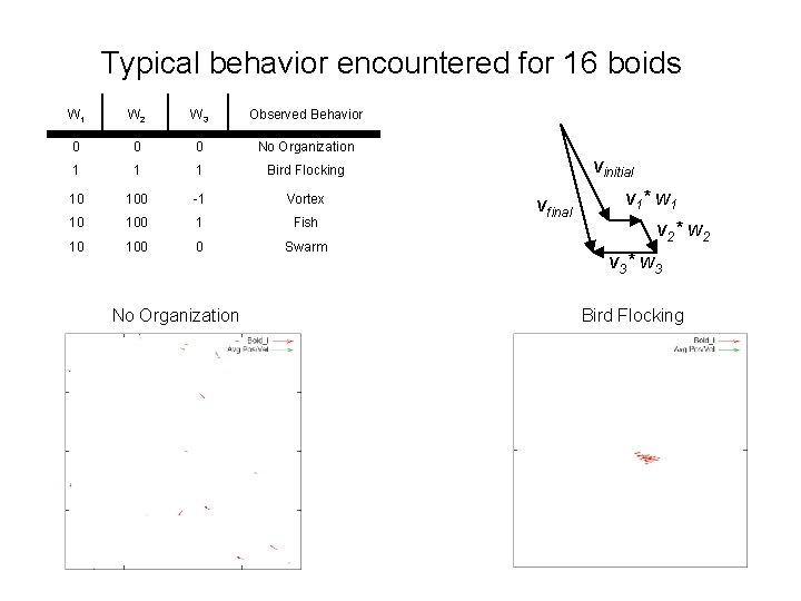 Typical behavior encountered for 16 boids W 1 W 2 W 3 Observed Behavior