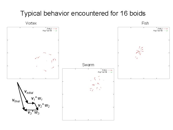Typical behavior encountered for 16 boids Vortex Fish Swarm vinitial vfinal v 1* w