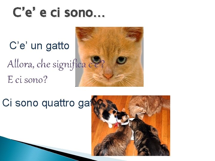 C’e’ e ci sono… C’e’ un gatto Allora, che significa c’e’? E ci sono?