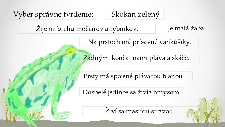 Vyber správne tvrdenie: Skokan zelený Žije na brehu močiarov a rybníkov. Je malá žaba.